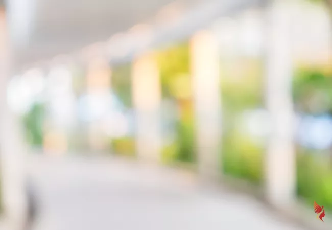 hintergrundbild-startseite-bettina